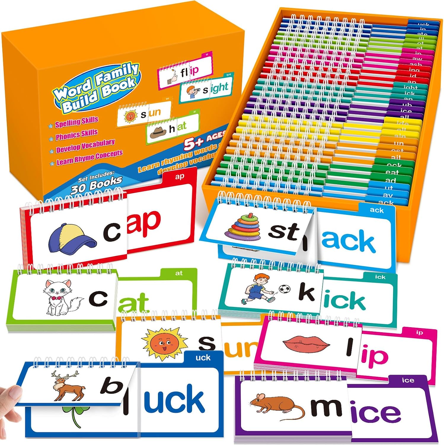 Phonics Word-Family Flip Books Early Learning for Kids