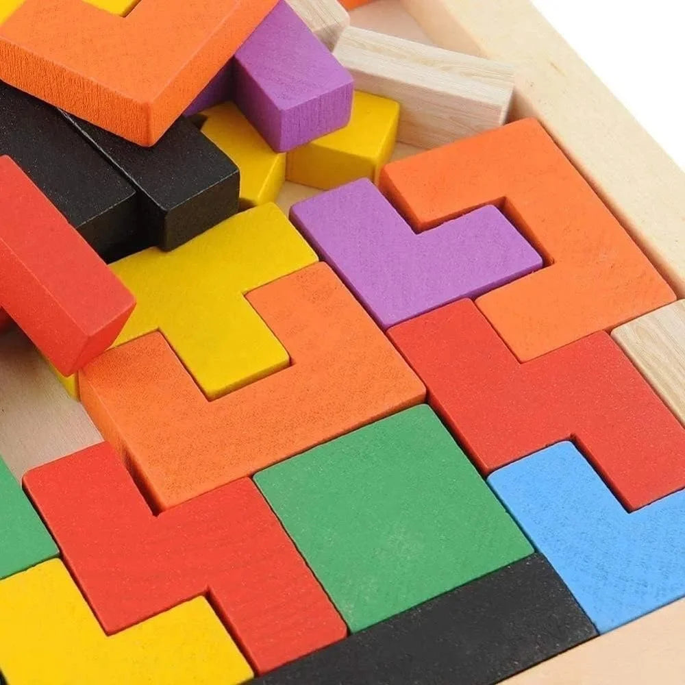 Wooden Intelligence Puzzle